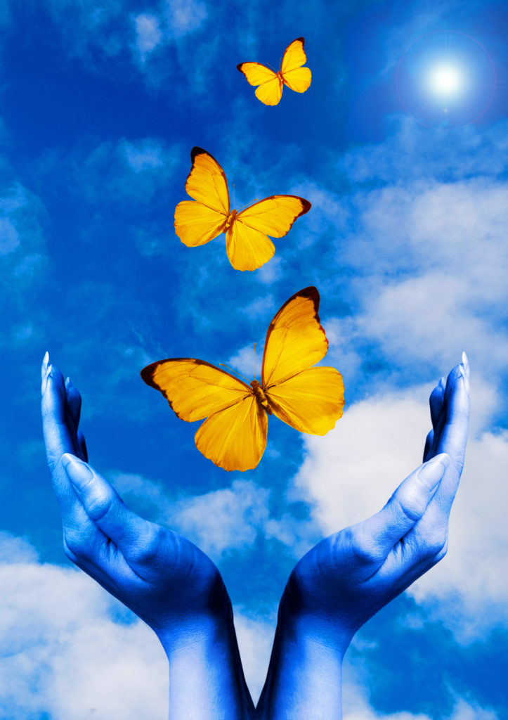 shutterstock_29354185